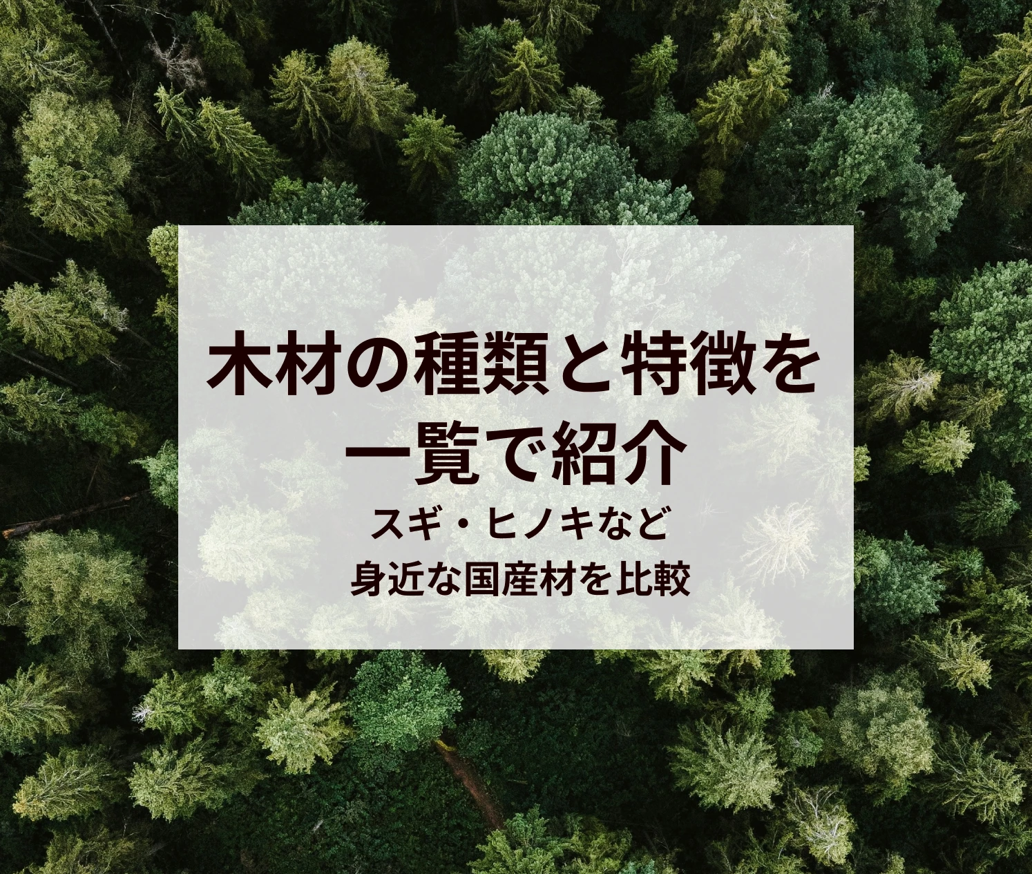 木材の種類と特徴を一覧で紹介｜スギ・ヒノキなど身近な国産材を比較