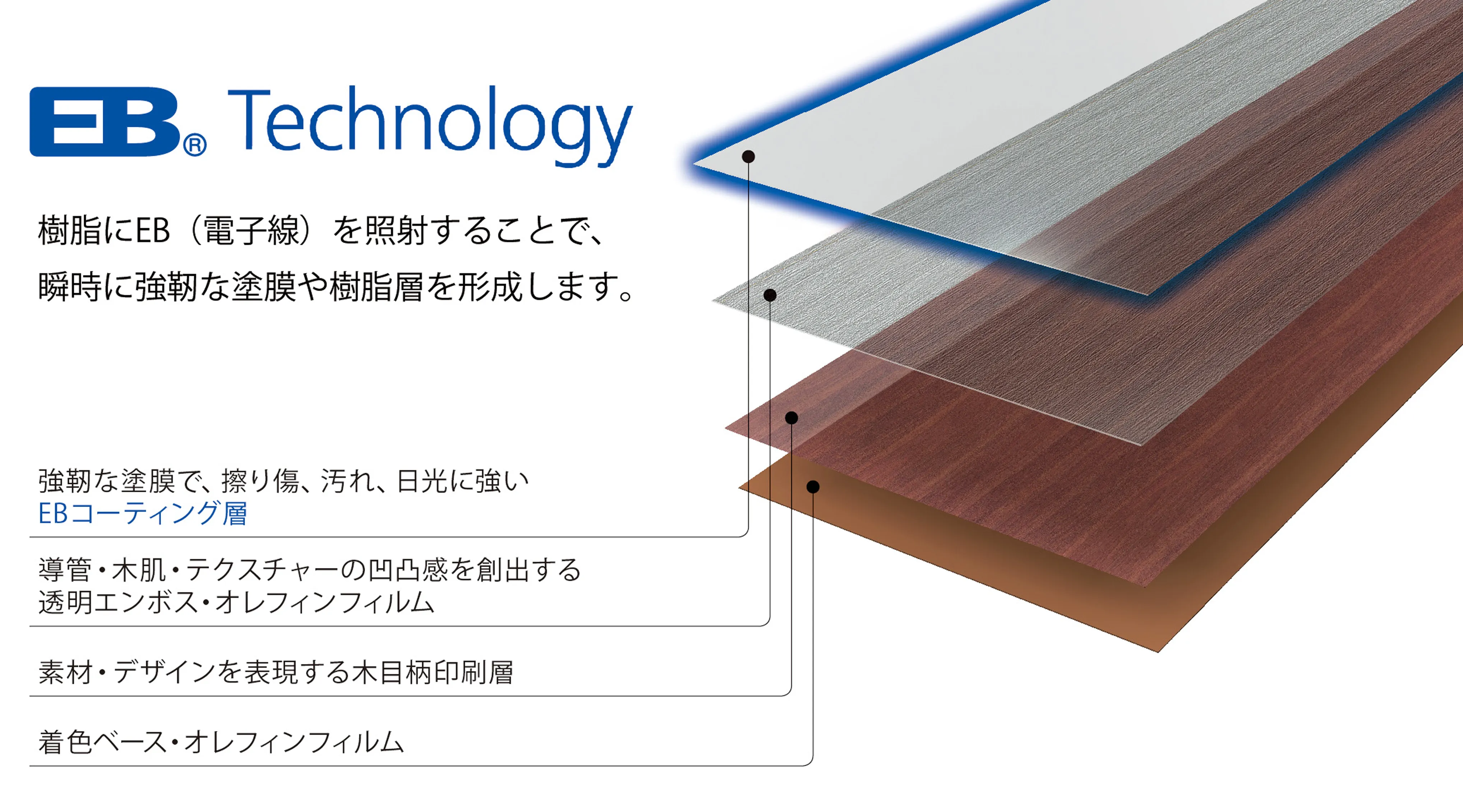 EBテクノロジーの構造