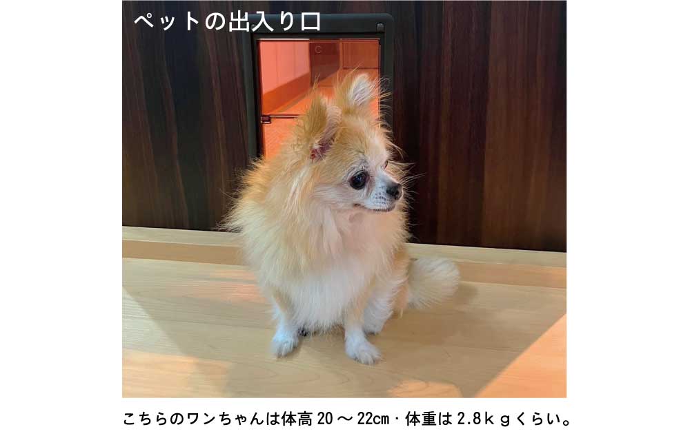 小型犬～中型犬向けの扉です